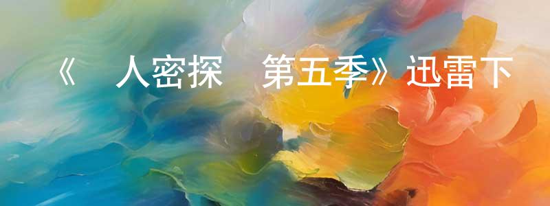 曾炯的網絡影視資源,《尋人密探組第五季》迅雷下載/在線觀看-犯罪歷史-美劇天堂